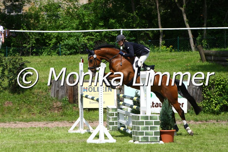 005M4966_Laico_L Springen.JPG